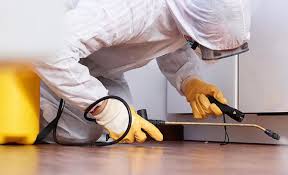 Best Real Estate Pest Inspections  in Souderton, PA